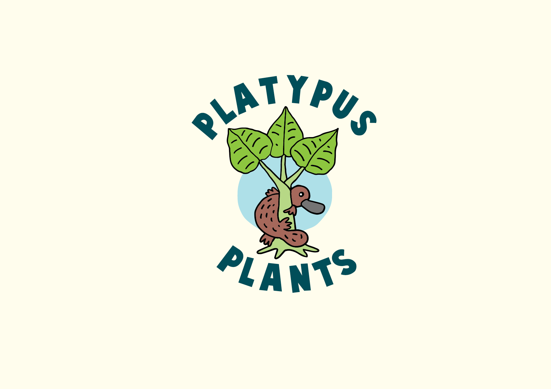 Mondo Grass – Platypus Plants