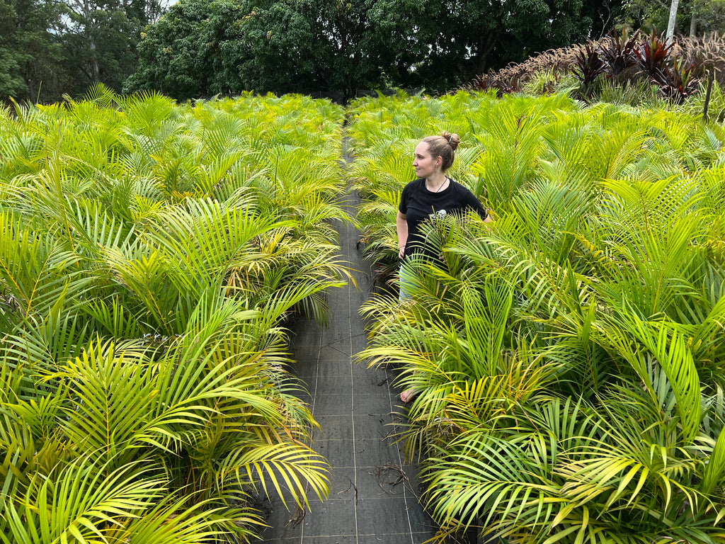 Platypus Plants